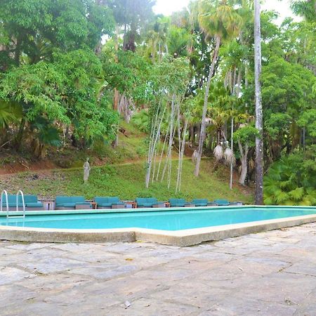 Hotel Do Cafe Rio das Flores Kültér fotó